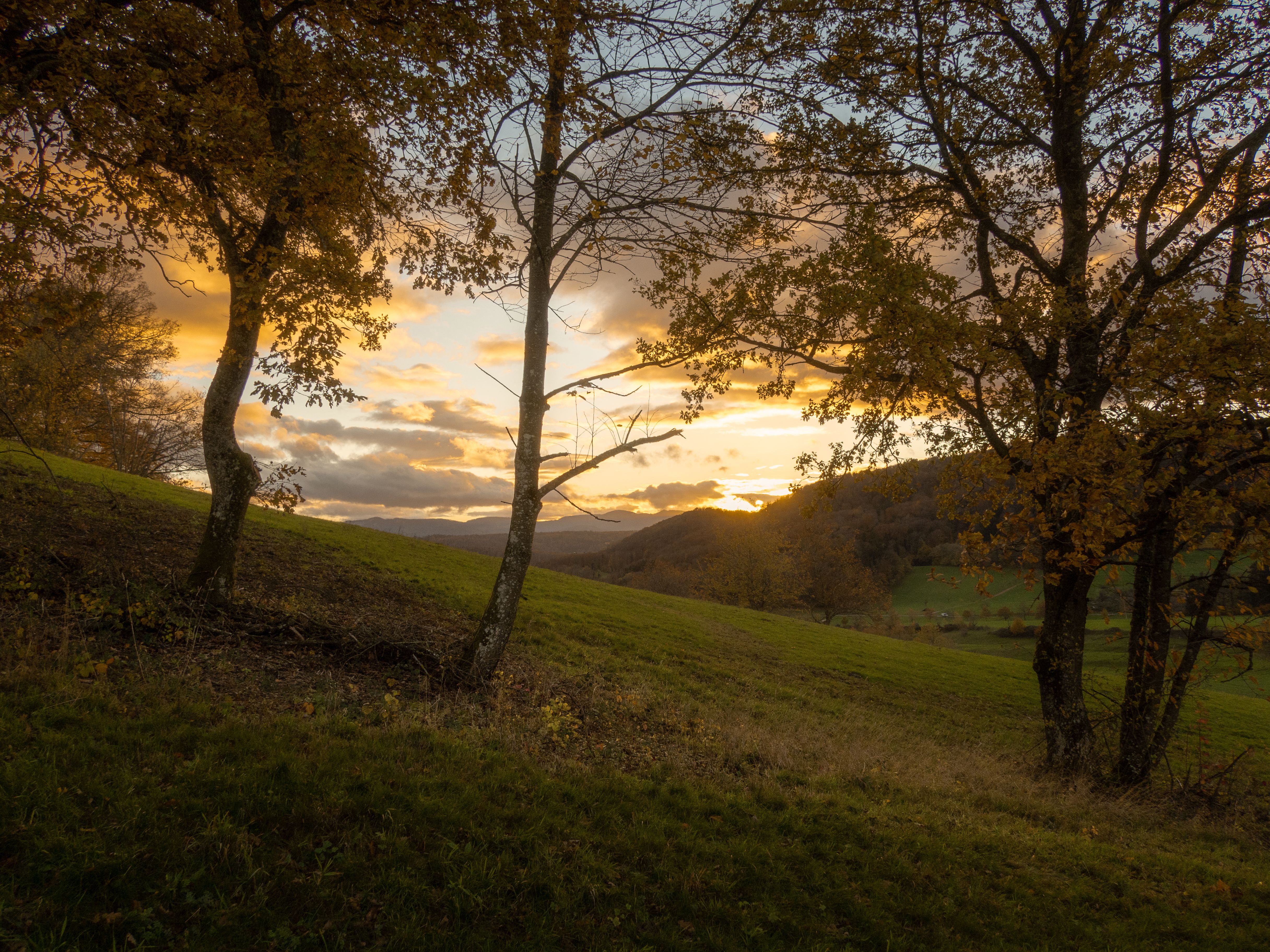 Herbst 1